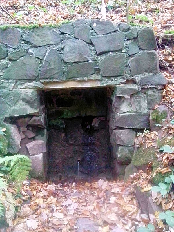 studánka U Habřiny (9310)