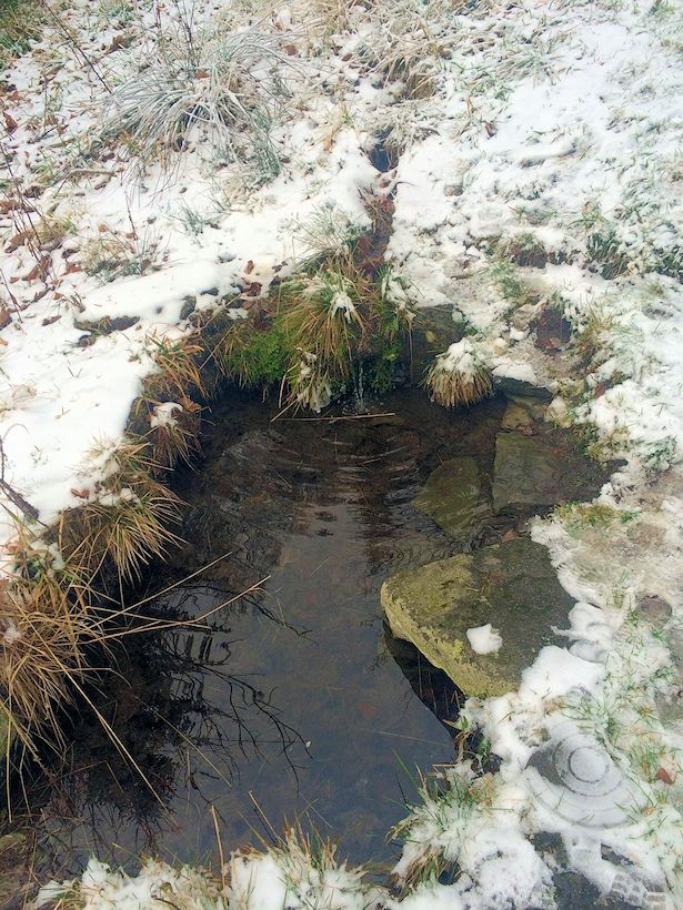 studánka Hubertka II (9325)