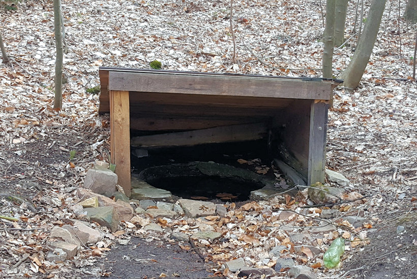 studánka Nad Červenejch loukou (9326)
