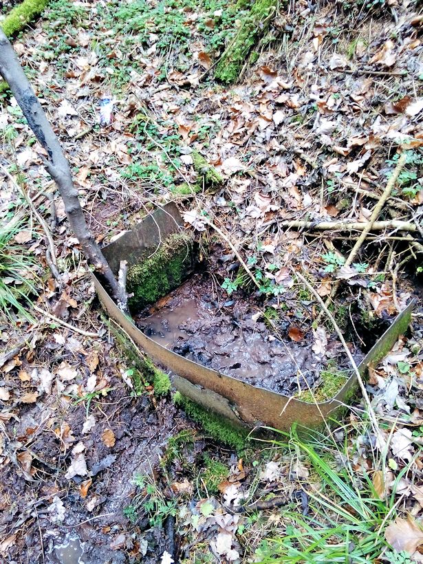 studánka Pramen Libuňky I (9328)