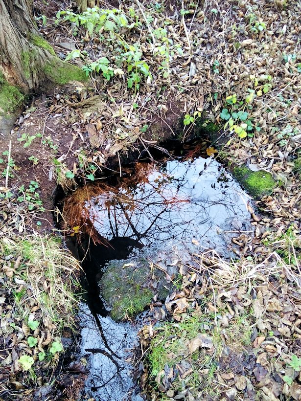 studánka Pod Vodojemem (9330)