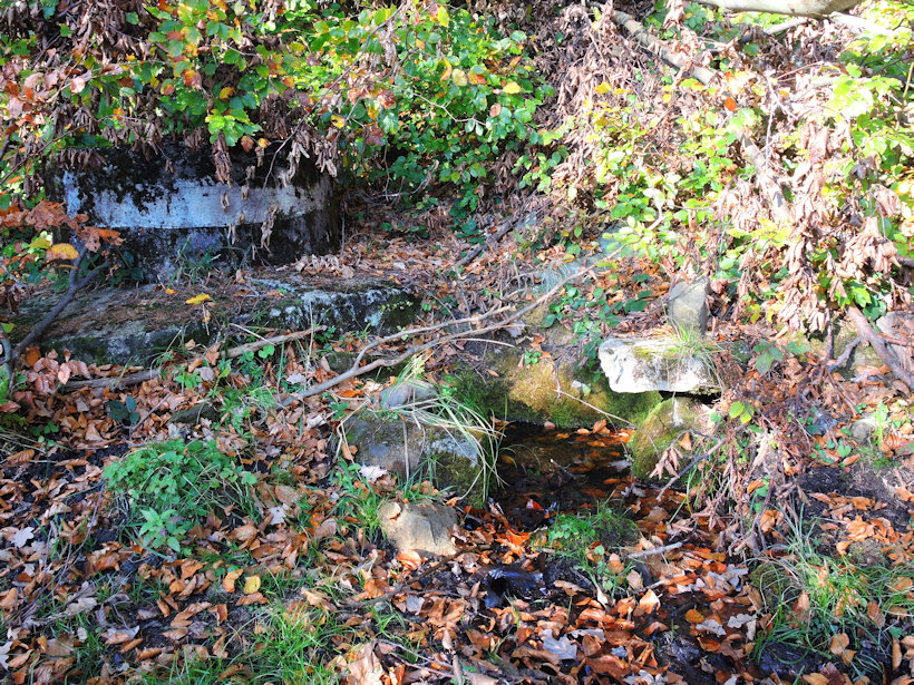studánka Šerifka (9341)