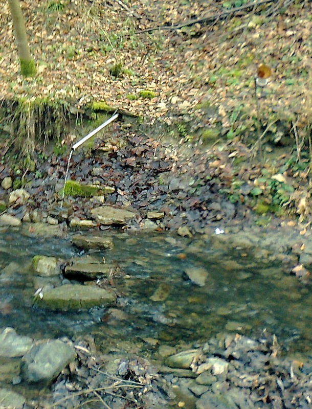 studánka U skaly (9343)