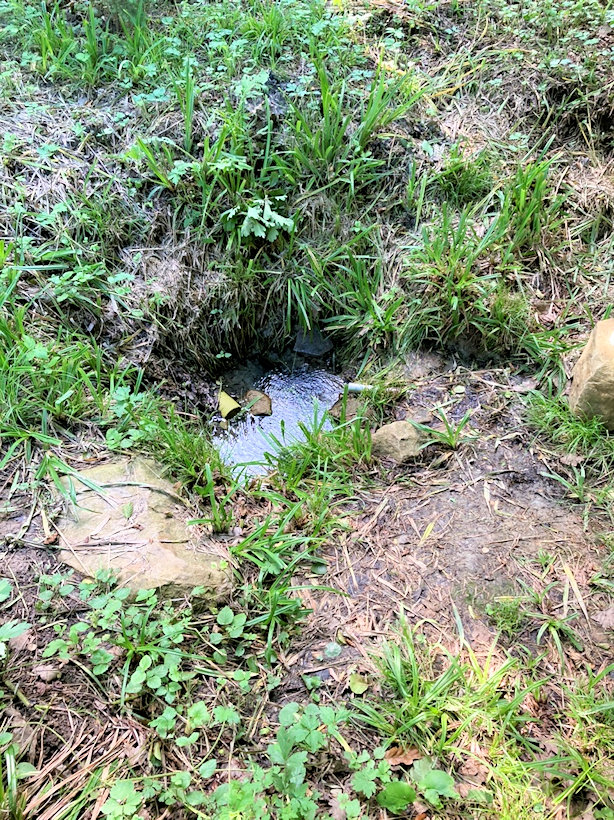 studánka U točny (9355)