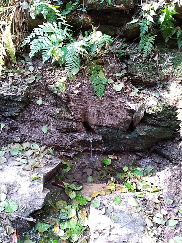 studánka Nad Zabitou zmolou (9357)