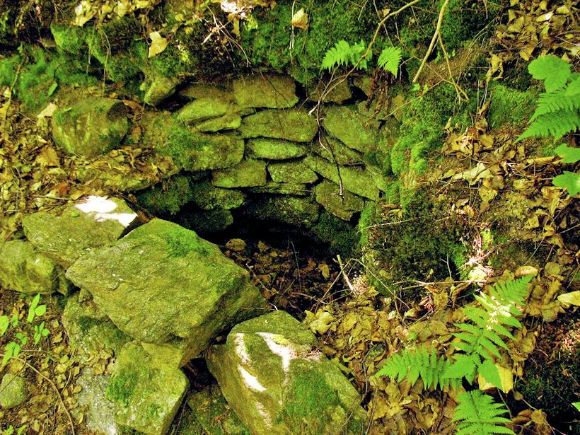studánka Pod Býšovcem (9358)