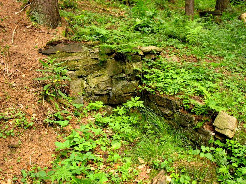 studánka bez jména (9361)