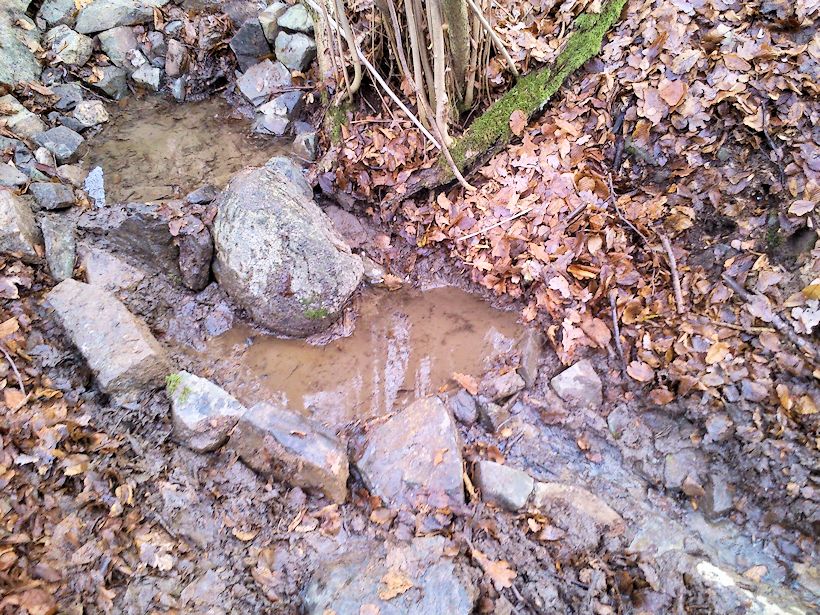 Lísková studánka (9364)
