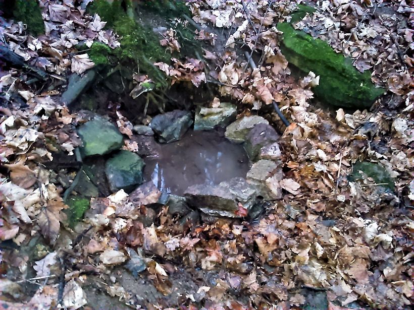 studánka Pod Bílou horou (9365)