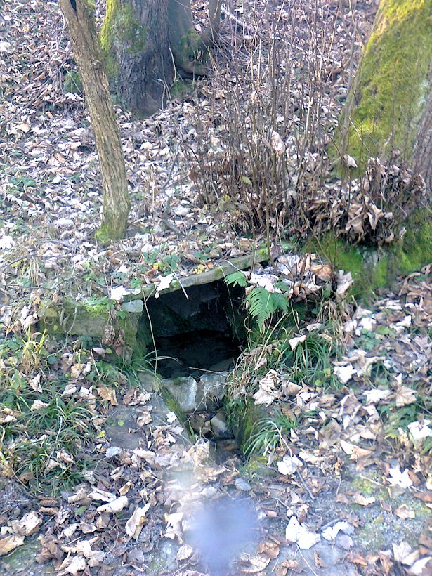 studánka V Zápletách (9372)