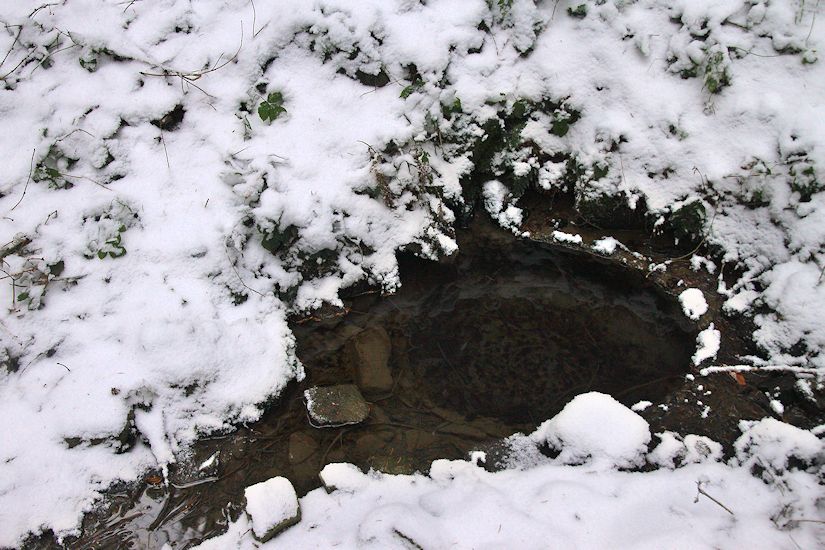 studánka Pod Vaculy (9375)