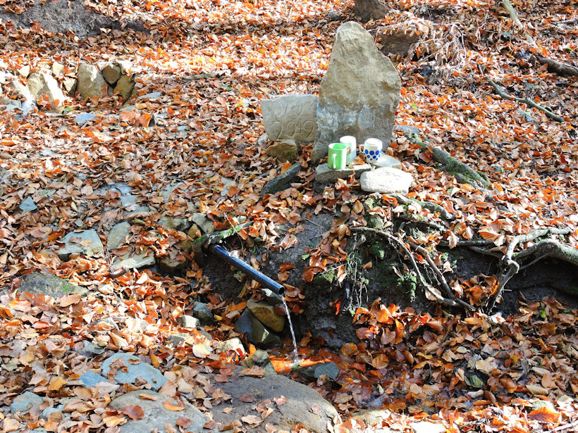 studánka V Kržlích (9383)
