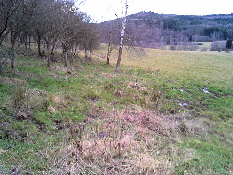 prameniště V pařízkách (9392)