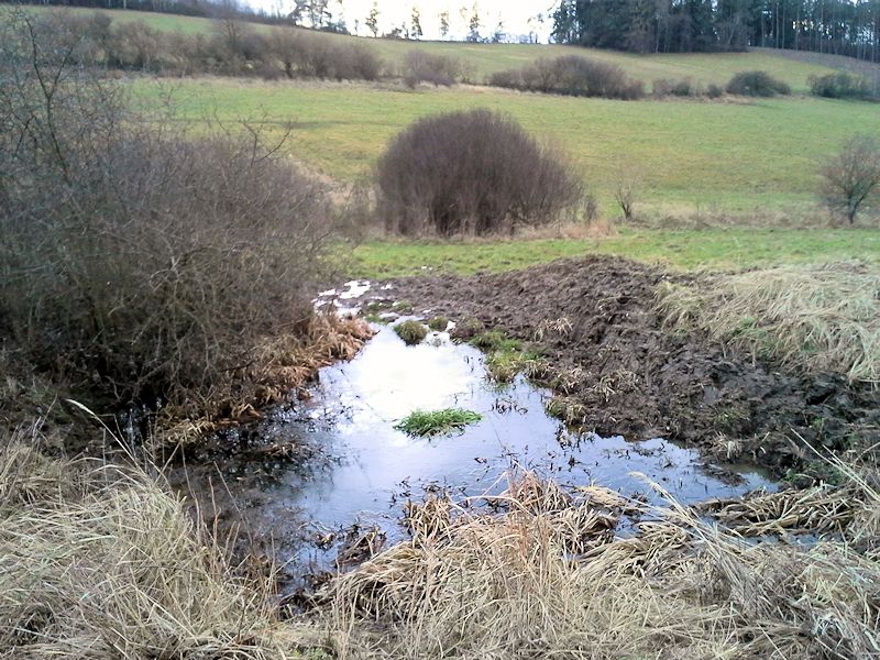 prameniště Ve dvorcích (9393)