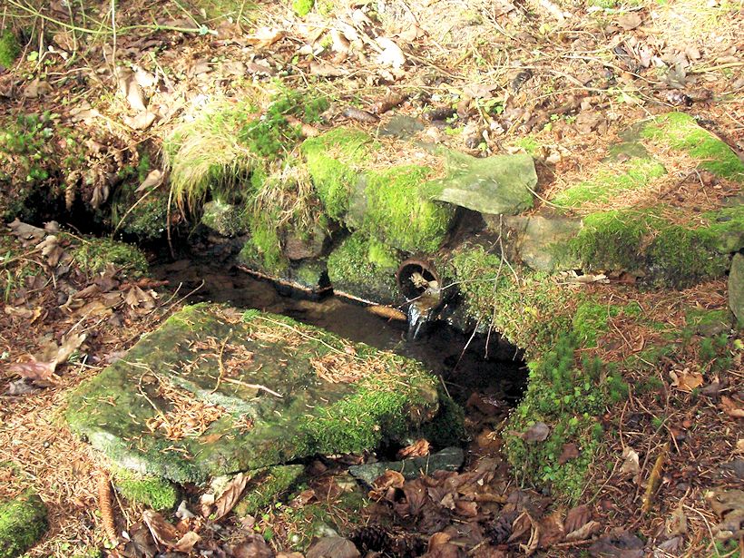 studánka Zlatokopecká (9397)