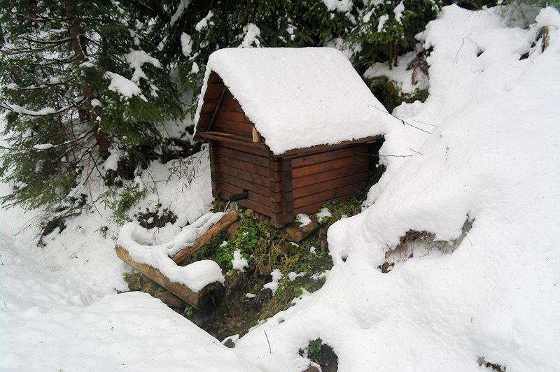 studánka bez jména (9398)