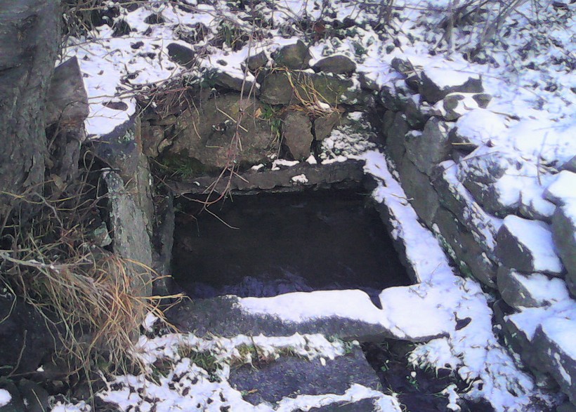 studánka U Studničky (9401)