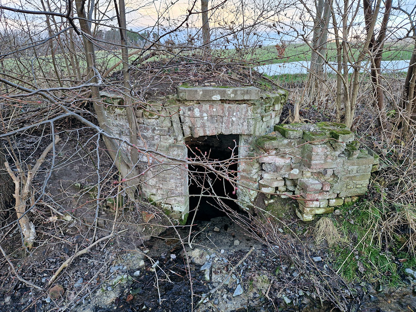 Žižkova studánka (9402)