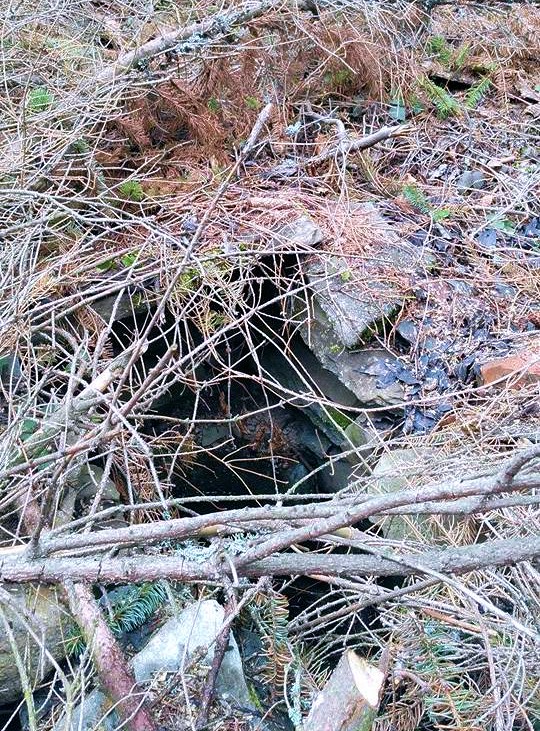 studánka Staroměstská lesní (9408)