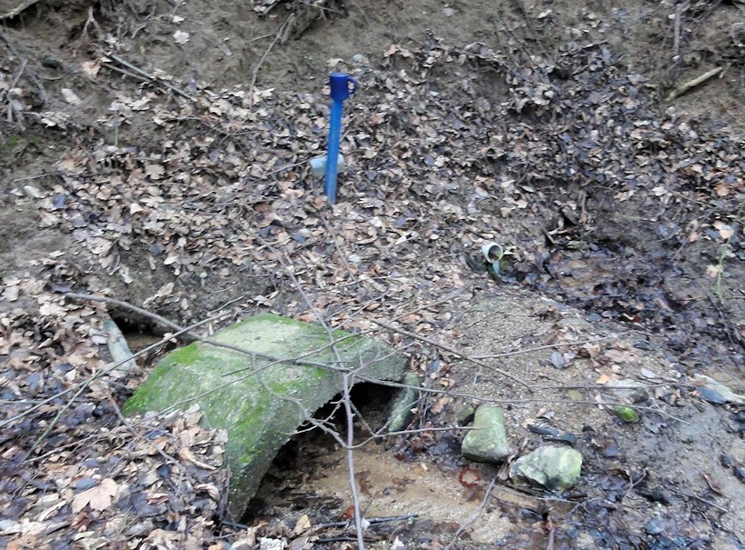 studánka Pod Jestřabím (9421)