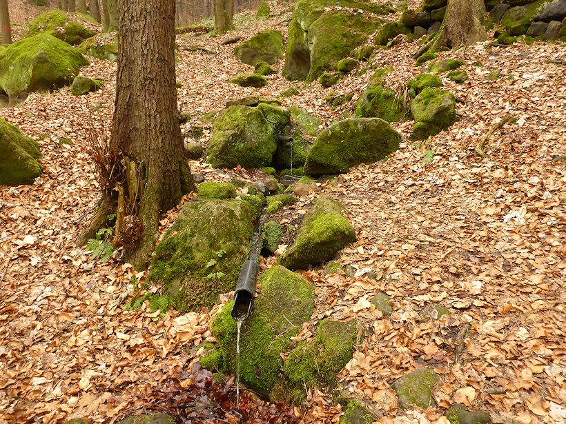 pramen Nad Loubím (9453)
