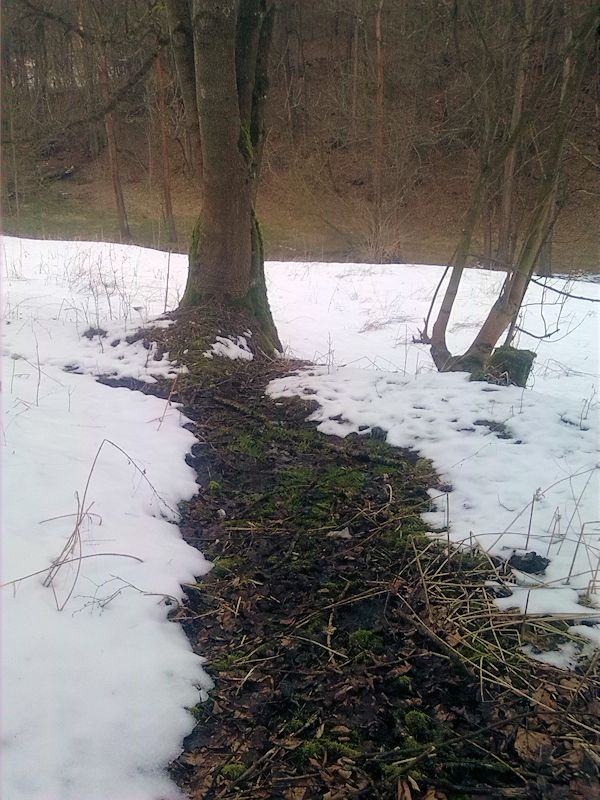 pramen Na dolním konci (9464)