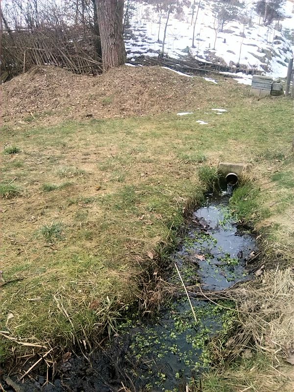 pramen Nad rybníkem (9466)