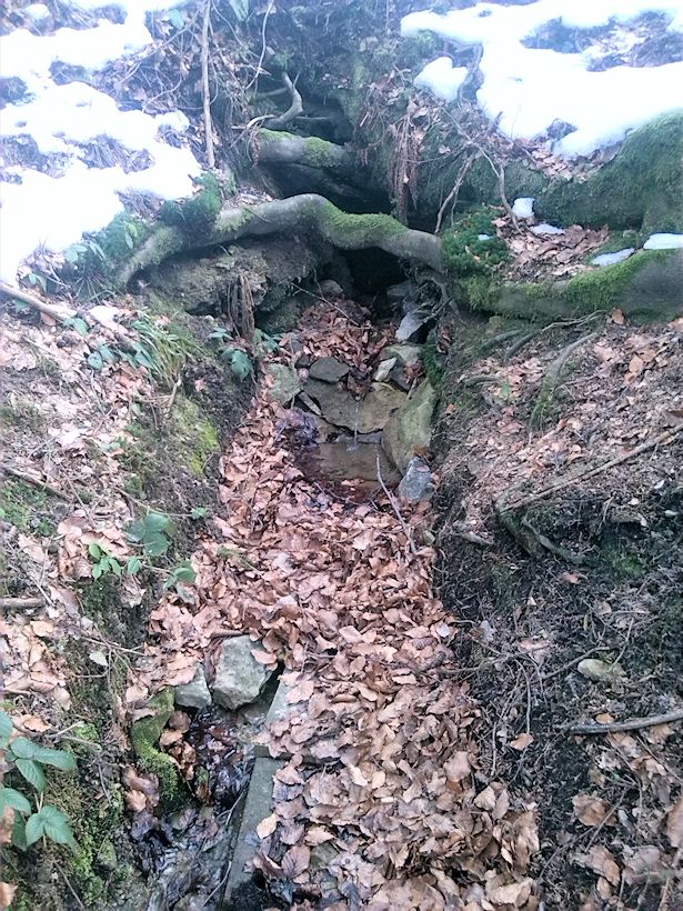 Vráťova studánka (9467)