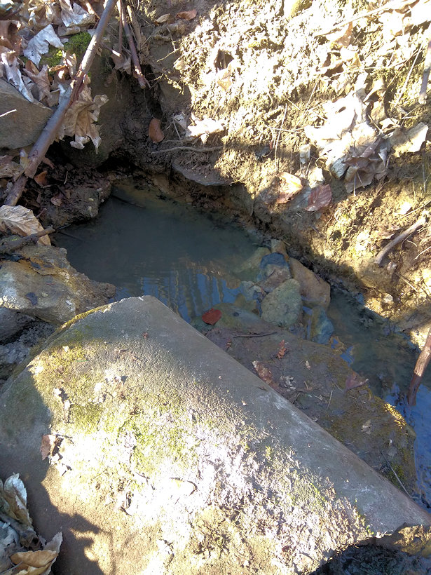 studánka Pod Obranicí (9468)