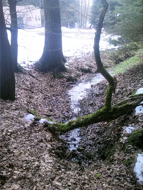 pramen Nad vodárnou (9470)