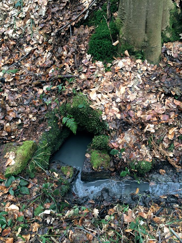 studánka Strachvicova (9485)