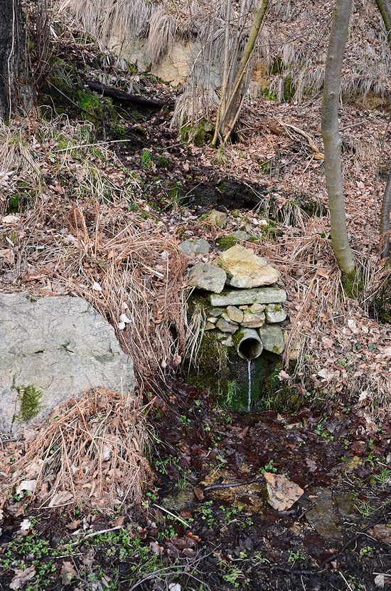 studánka bez jména (9486)
