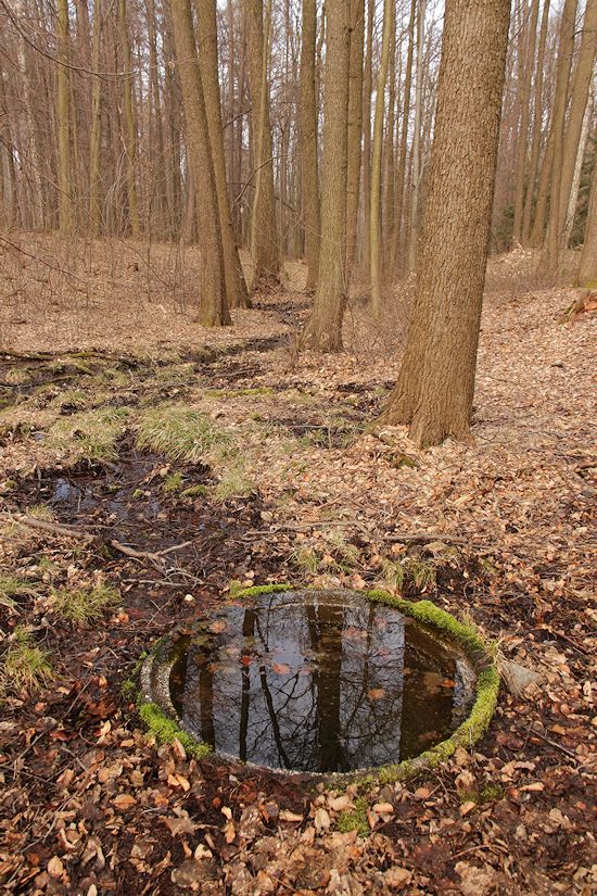 studánka U jedle (9497)
