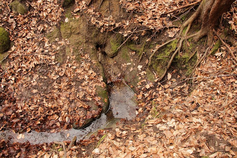 studánka Pod Korábkem (9498)