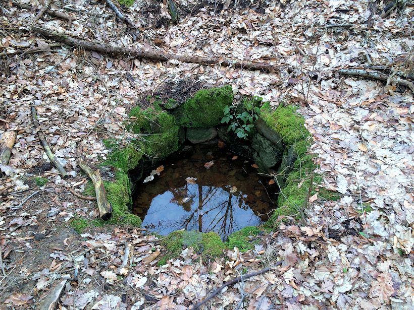 studánka Snopkova (9506)