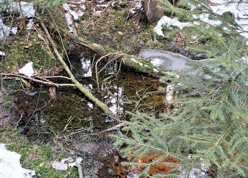 studánka U brodu (9510)