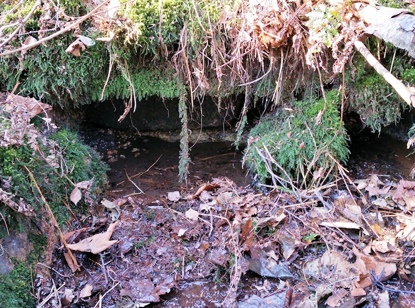 studánka Pod Rohanem (9513)