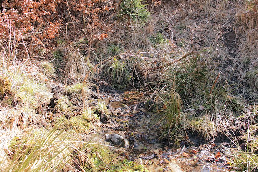 Katova studánka (9516)