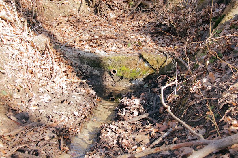 studánka Pod Mramůrkou (9518)