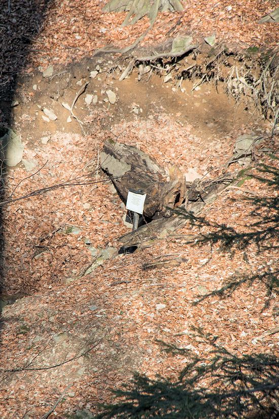 studánka Vápenice (9519)