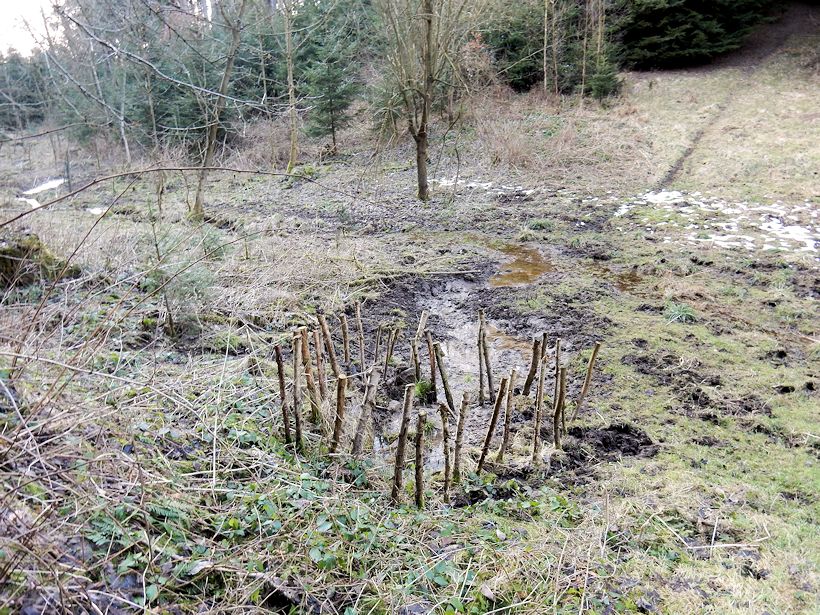 studánka V Pustinském (9520)