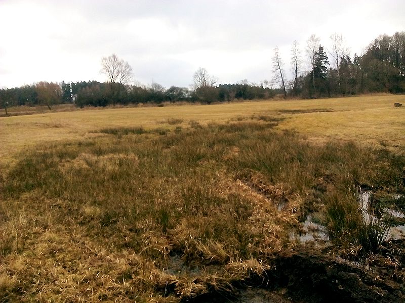 prameniště Na holišti (9526)