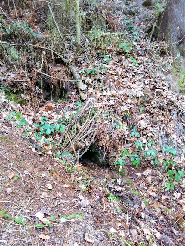 studánka Pod krmelcem (9529)