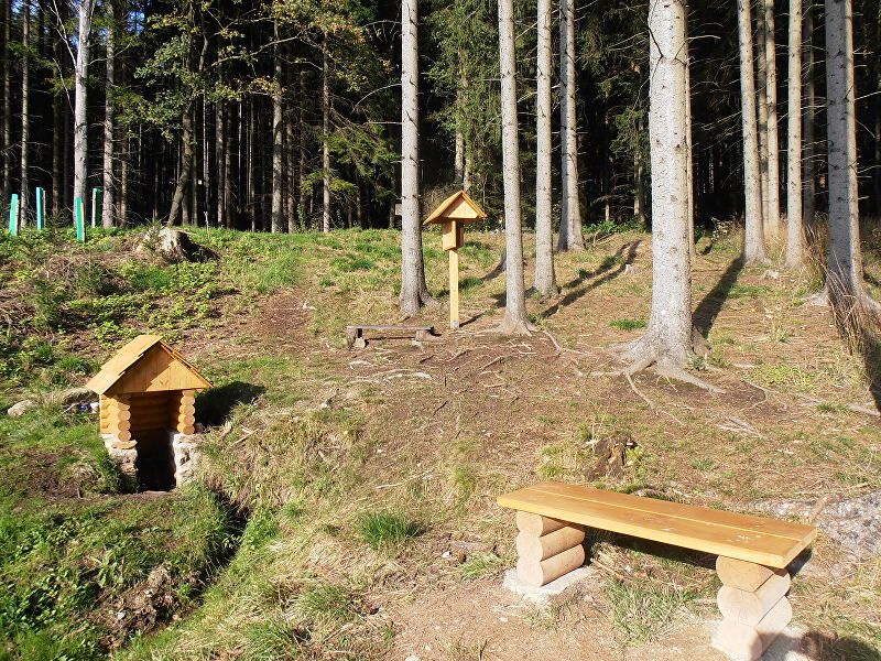 Lesní studánka (9541)