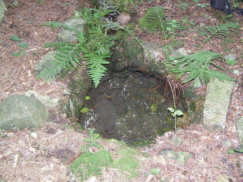 studánka U Pacherova mlýna (9559)