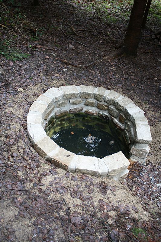 studánka V Černém lese (9561)