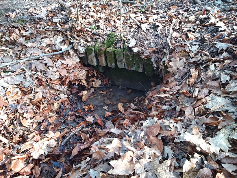 studánka bez jména (9578)