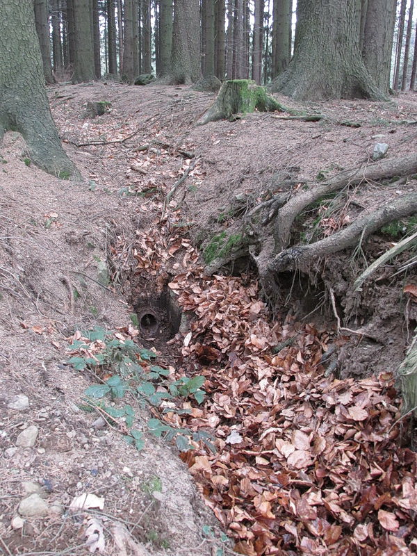 studánka Vodačka (9580)