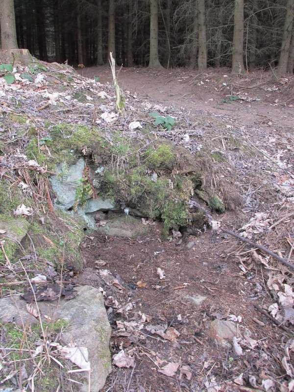 studánka Pod Smrťákem (9581)