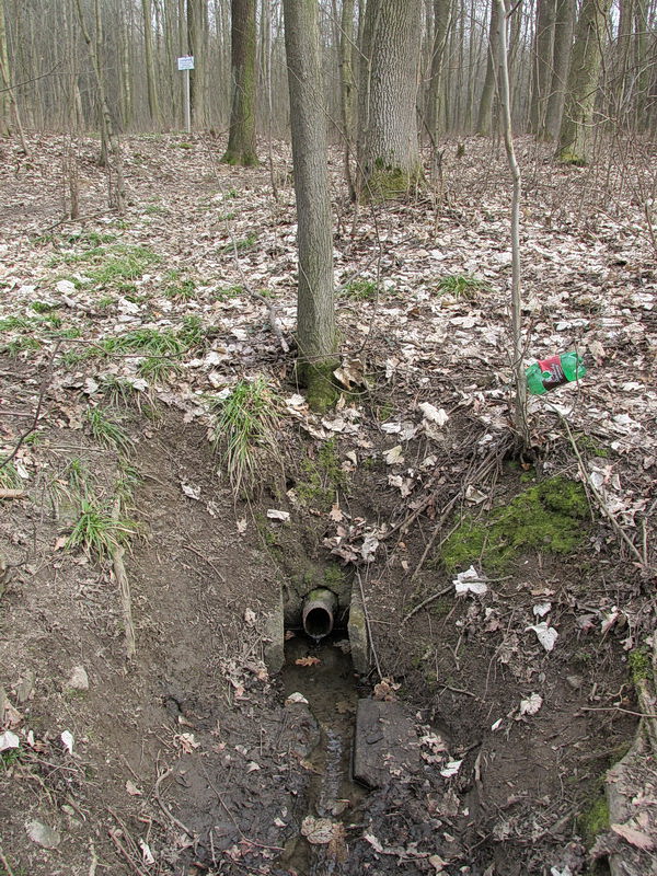 studánka Na Letné (9582)